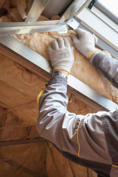 Professional Insulation Contractor in Holgate, OH