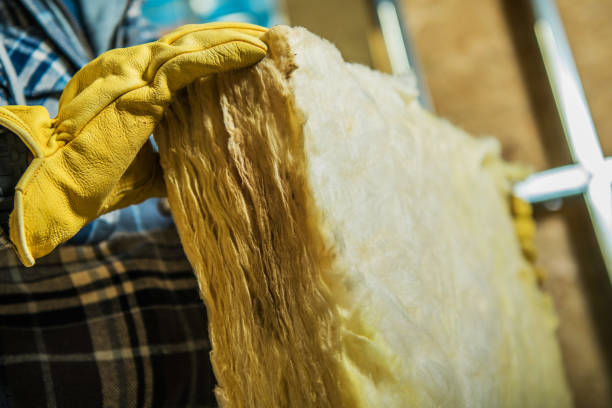 Best Insulation Maintenance and Repair in Holgate, OH