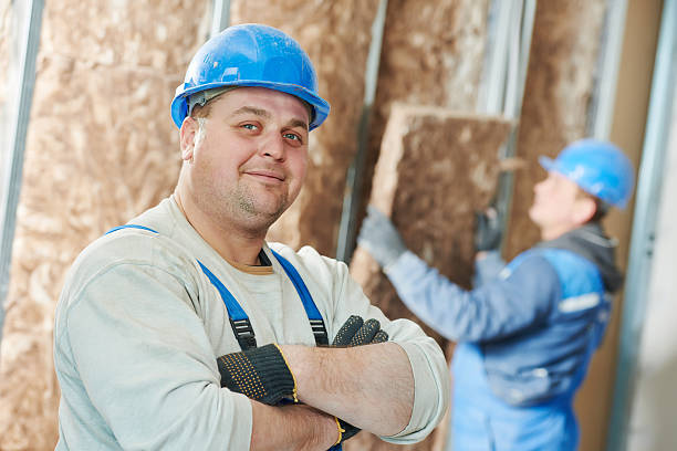 Types of Insulation We Offer in Holgate, OH